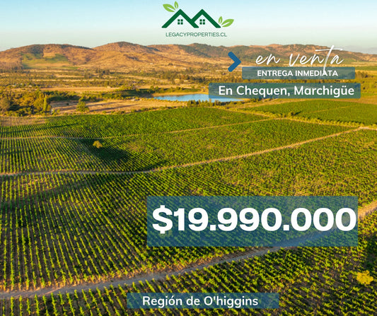 Parcelas-Chequén Marchigüe