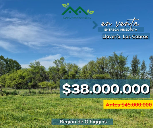 Parcelas-Llavería,las cabras